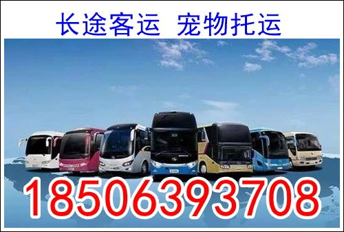 合肥到金寨汽车多少钱 合肥到金寨汽车多少钱