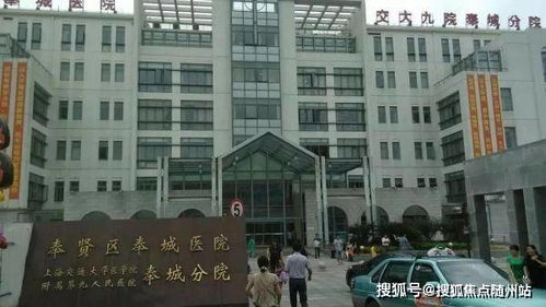 双流金桥汽车站电话多少(双流金桥汽车站电话查询及周边配套服务详解)