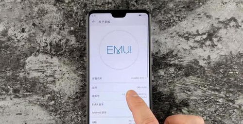 华为手机怎么设置NIP 华为手机怎么设置NIP