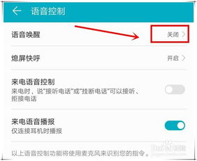 华为手机助手怎么启动 华为手机助手怎么启动