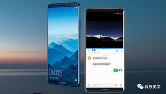 华为手机版本怎么选择