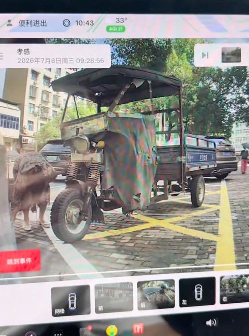 广西大爷坚持抱树一天一夜后获救 广西大爷坚持抱树一天一夜后获救